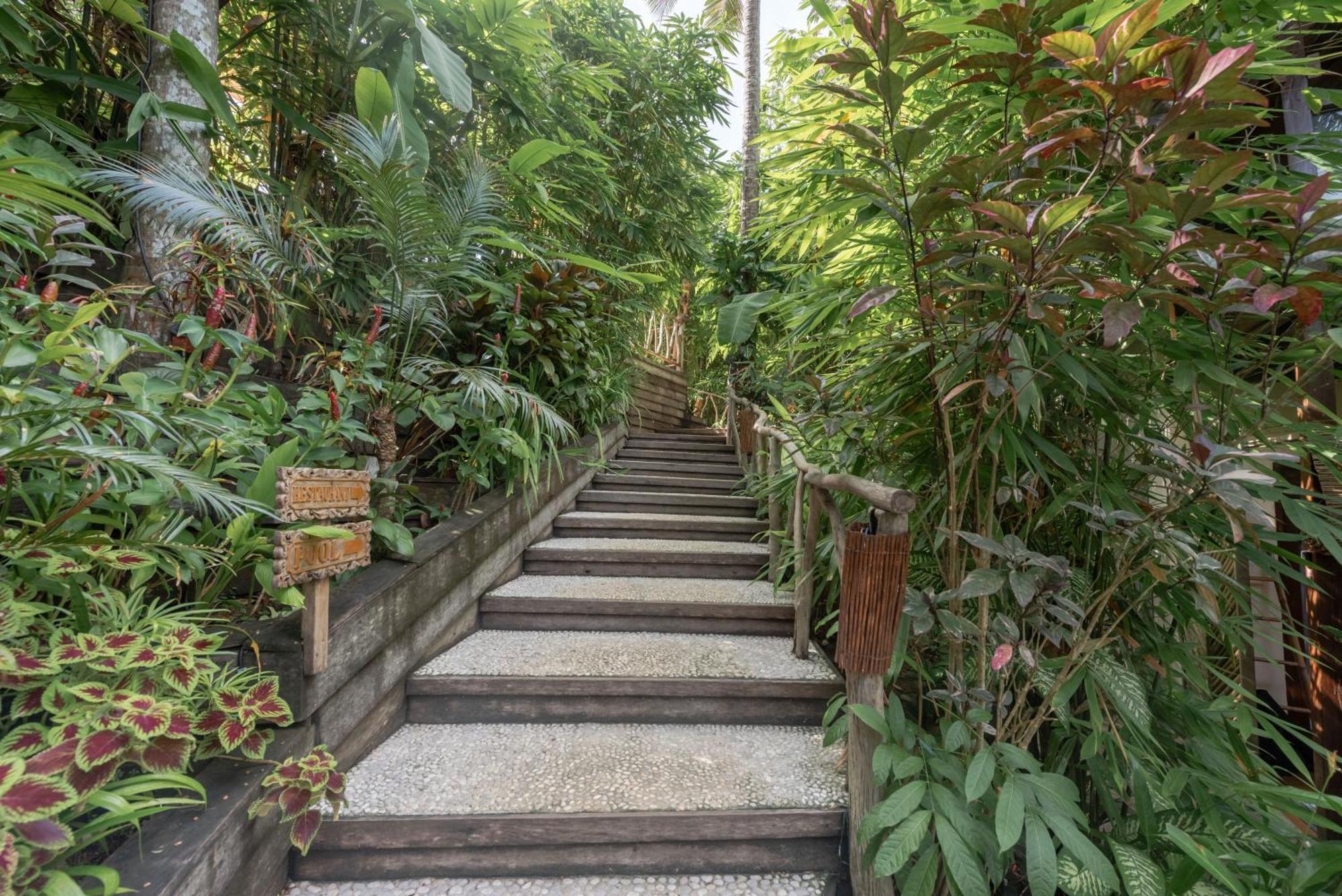 The Hillside Resort Siargao Хенерал Луна Екстериор снимка