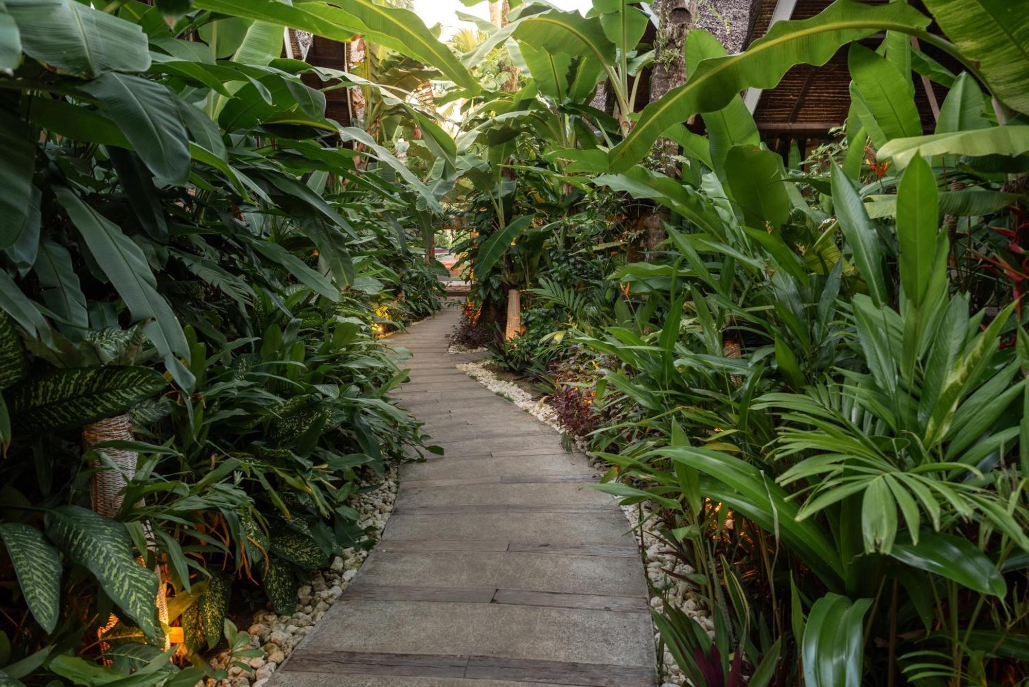 The Hillside Resort Siargao Хенерал Луна Екстериор снимка