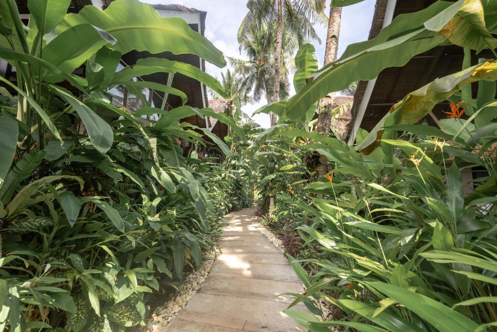 The Hillside Resort Siargao Хенерал Луна Екстериор снимка
